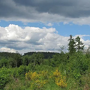 nude in the nature gallery image