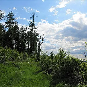 nude in the nature gallery image