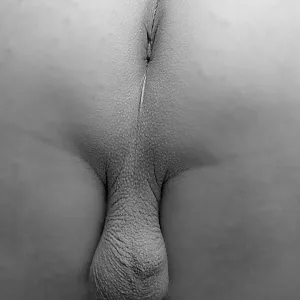 collection gallery image