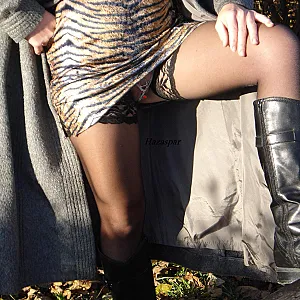 2009 Autumn gallery image