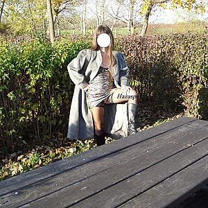 2009 Autumn gallery image