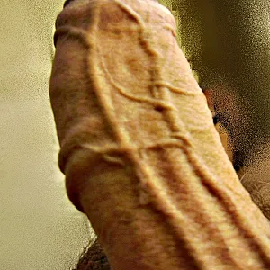 my hard uncut cock Galeriebild