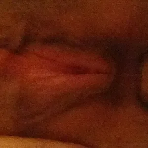 pussypics gallery image