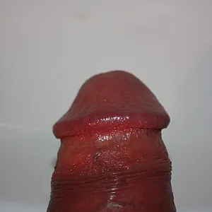 Mein Freund Galeriebild