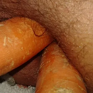 the Ass Hole gallery image