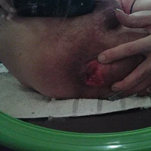 the Ass Hole gallery image