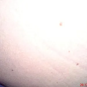 Meine Muschi Galeriebild