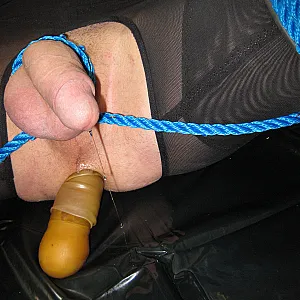 getting fucked gallery image