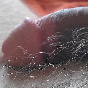 my cock gallery image