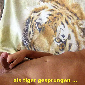 humor ist, wenn man(n) trotzdem lacht... Galeriebild