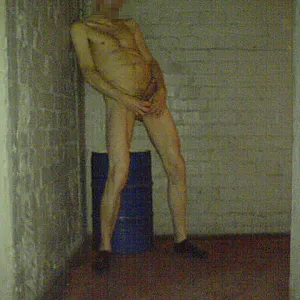 in the pmt gallery image