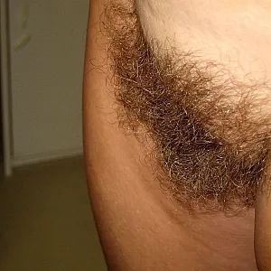 just for fun gallery image