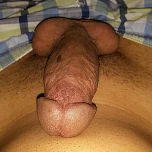Mein Penis Galeriebild
