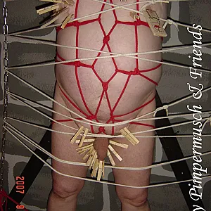 Slave gallery image