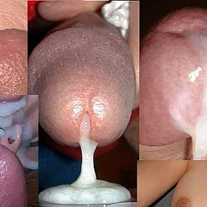 cum gallery image