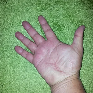 Es kommt und meine Hand Galeriebild