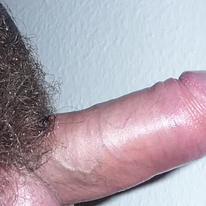 Monster Dicker Galeriebild