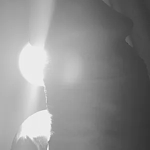 light gallery image