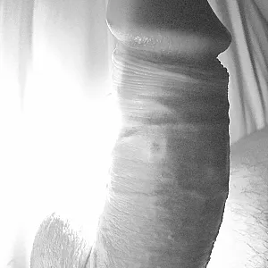 light gallery image