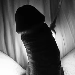 light gallery image
