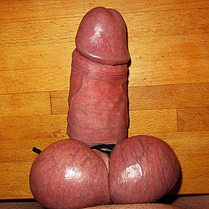 bounded dick gallery image