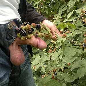 in the harvest gallery image