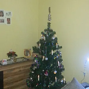 weihnachten Galeriebild