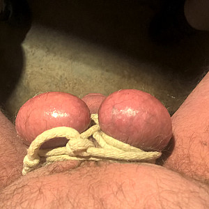 First image of CH-Aargau's Gallery - balls arse and cock