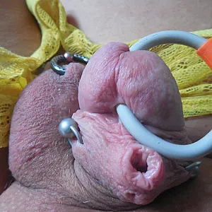 piercing Galeriebild