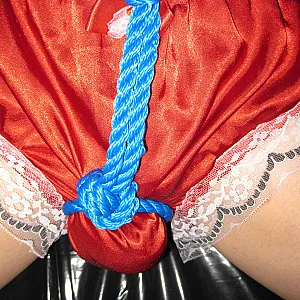 sissy panty gallery image