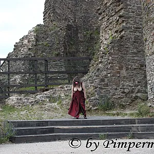Burgruine  6 Galeriebild