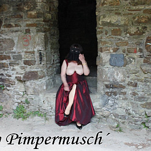 Das erste Bild von Pimpermuse's Galerie - Burgruine  4