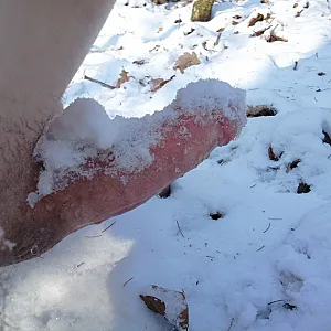 Schnee + outdoor Galeriebild