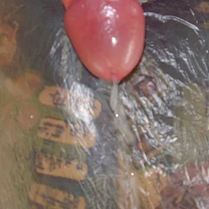 my cock gallery image