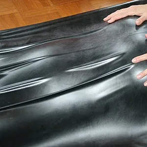Domina gallery image