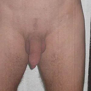 mein schwanz Galeriebild
