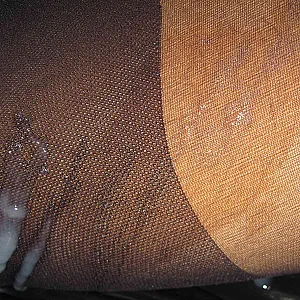 Sperm Pantyhose gallery image