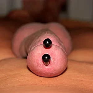my horny things gallery image