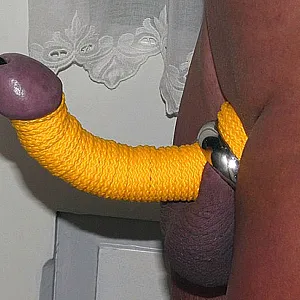my horny things gallery image