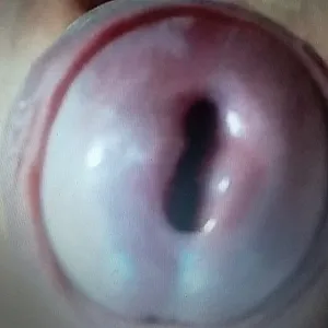 big cock gallery image