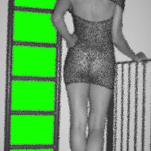 my pics gallery image