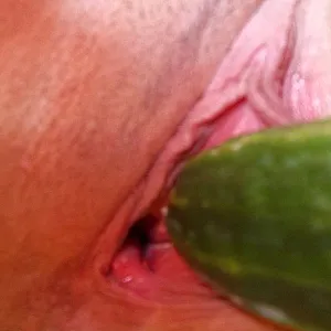 Alle unsere Bilder Galeriebild