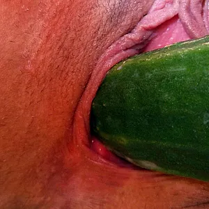 Alle unsere Bilder Galeriebild