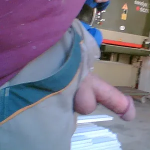 arbeitstier Galeriebild