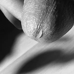 Die Lust an der Fotografie Teil2 Galeriebild