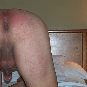 ass Galeriebild
