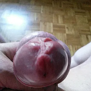 hard cock gallery image