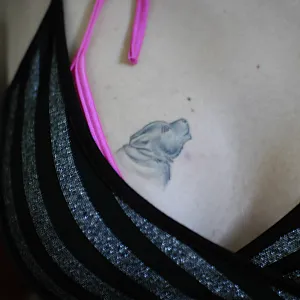 Meine schönsten Bilder Galeriebild