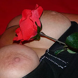 nochmal die Rose Galeriebild