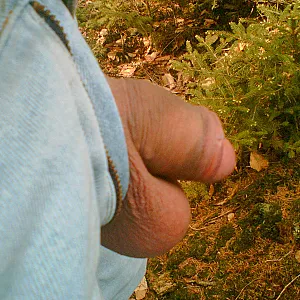 In the forest gallery image